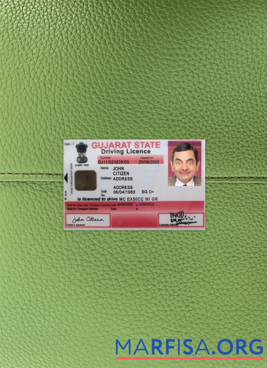 Realistic India Gujarat state driving license photolook real example